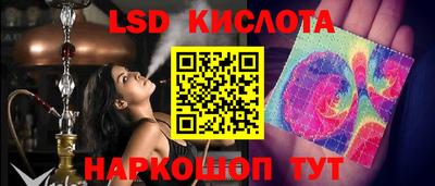 spice Тара