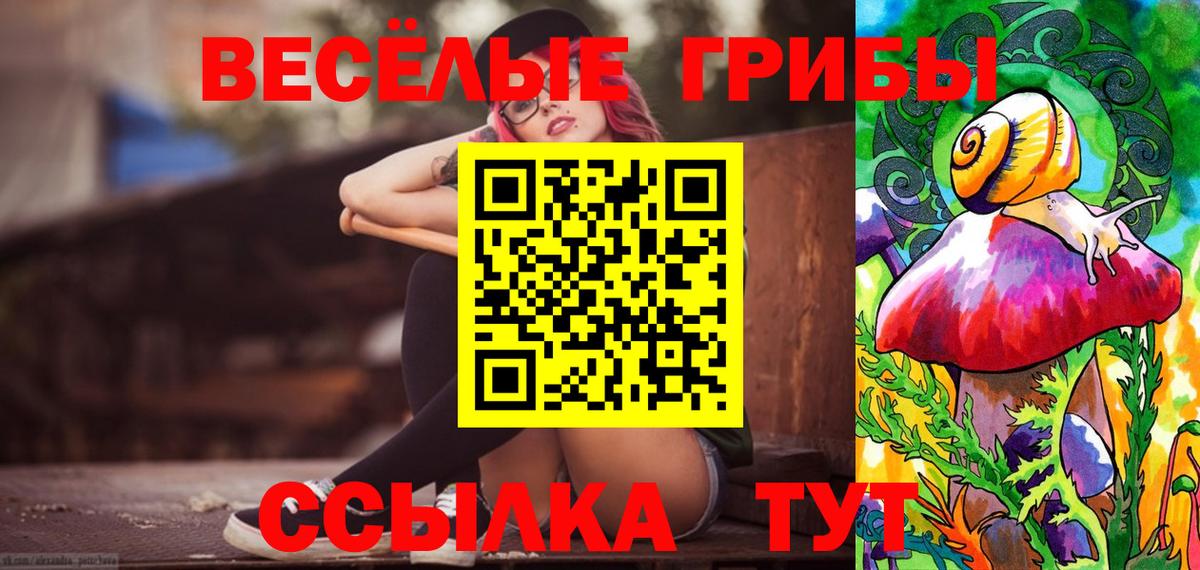 Галлюциногенные грибы Psilocybine cubensis  Вход с VPN  Белогорск  Псилоцибиновые грибы Cubensis 